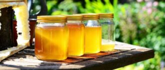 9 способів використання меду для лікування прищів