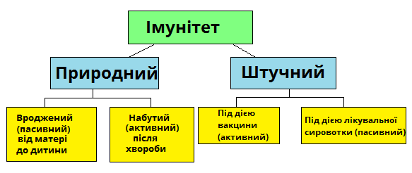 Вроджений імунітет