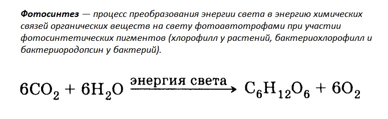 Що таке фотосинтез