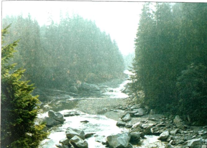 Поверхневі води карпат