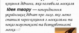 Яке визначення поняття ідеї художнього твору. Різниця між темою та ідеєю. Типи думок у художньому тексті.