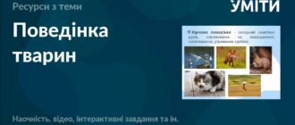Форми поведінки тварин