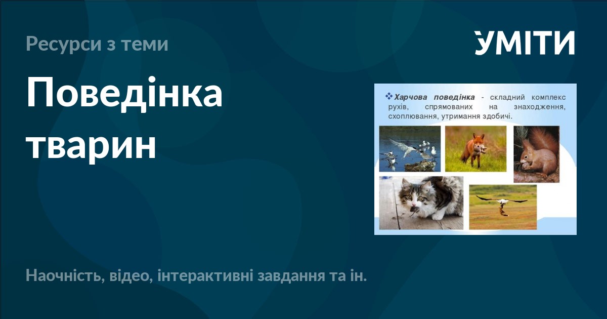 Форми поведінки тварин