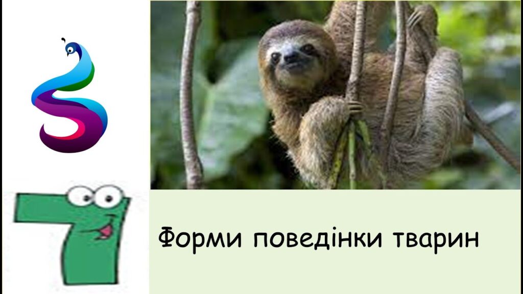 Форми поведінки тварин