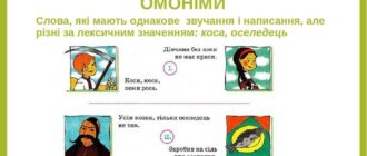 Що таке омоніми Приклади омонімів в українській мові